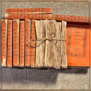 Antique 1830's Italian Books