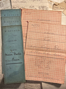Original French Document folders - Dominote Pink & Robins Egg Blue