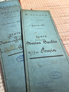 Original French Document folders - Dominote Pink & Robins Egg Blue