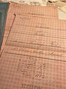 Original French Document folders - Dominote Pink & Robins Egg Blue