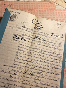 Original French Document folders - Dominote Pink & Robins Egg Blue