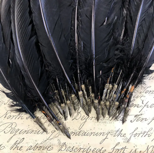 Long Black Turkey Tail Quill With Antique Nib