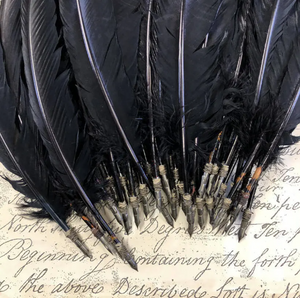 Long Black Turkey Tail Quill With Antique Nib