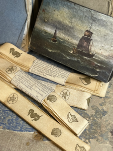 Nautical Shells and Seahorses Ribbon