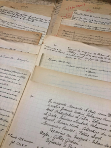 Original French Script Page Bundles - Documents - 1800's
